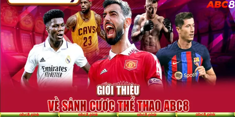 Giới thiệu đôi nét về sảnh cược Abc8