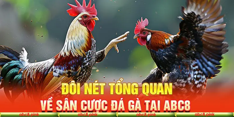 Giới thiệu vài thông tin về sảnh Abc8 đá gà